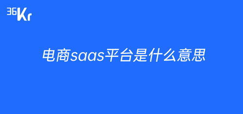 电商saas是什么意思啊