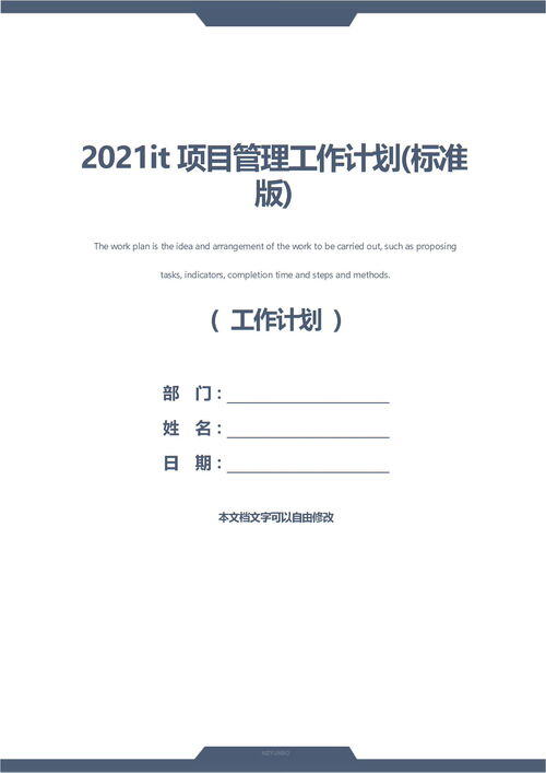 it项目计划书