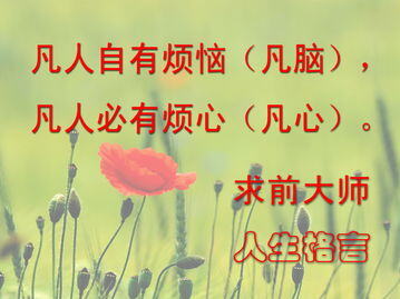 销售一句话经典语录