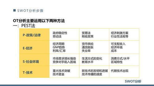 餐饮swot分析报告