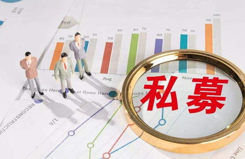 vcpe投资是什么意思
