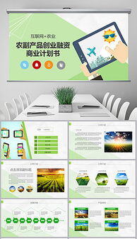 互联网助农创业计划书