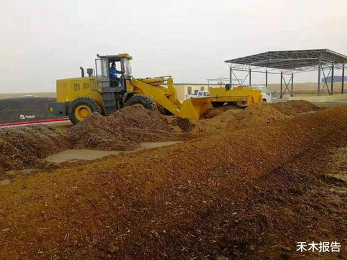 2023年养殖业什么最赚钱农村