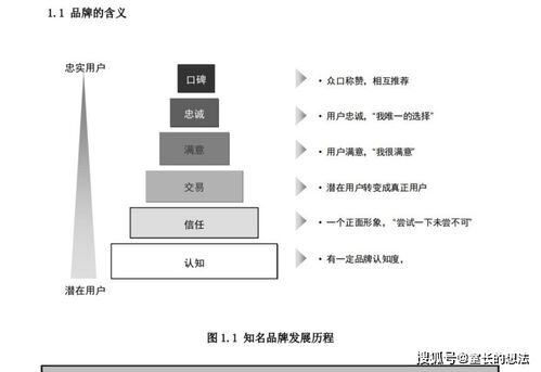 个人ip打造运营方案