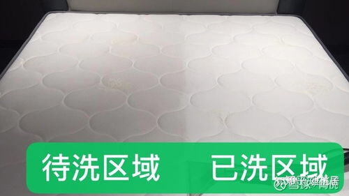 成本小利润大的小本生意有啥