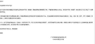 开一家yonex授权店多少钱