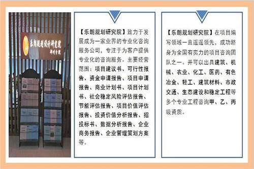 bp项目计划书
