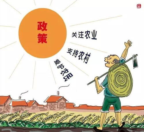 农村创业国家扶持项目有哪些