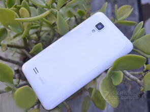 vivo s12多少钱一部手机