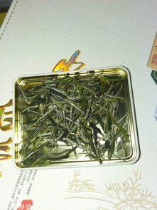 种茶叶一年能挣多少钱