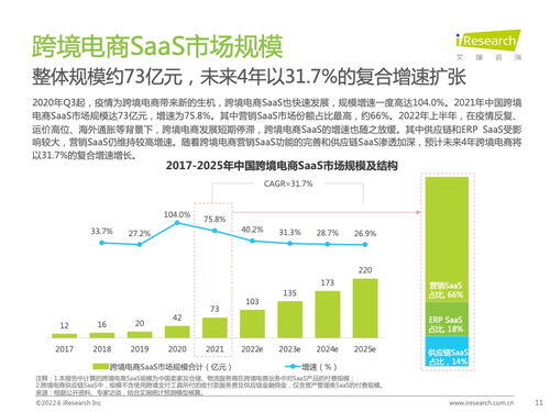 跨境电商saas
