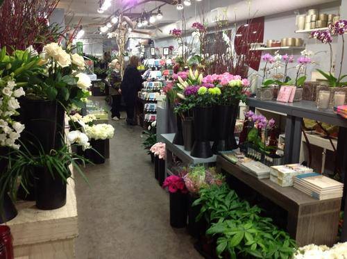 加盟一个花店需要多少钱