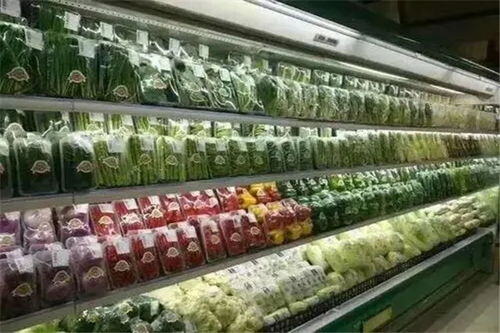 蔬菜加盟店10大品牌