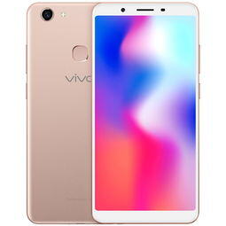 vivoy73手机多少钱