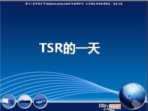 tsr销售中的什么职位