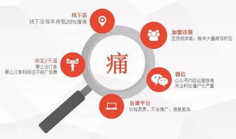 电商saas是什么意思啊