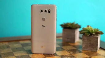 v78手机多少钱