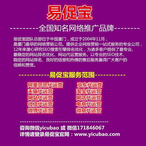 广州seo代运营公司