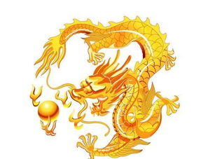 88年属龙做什么生意好