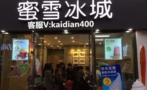 雪冰城加盟多少钱