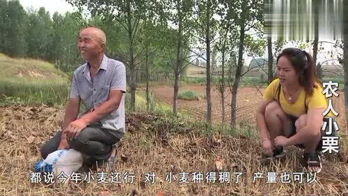 70多岁老人在家能挣钱的工作