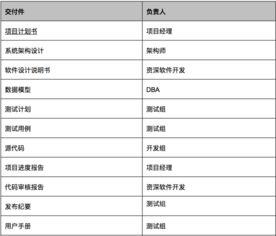 it项目计划书