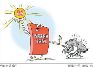300万投资什么项目