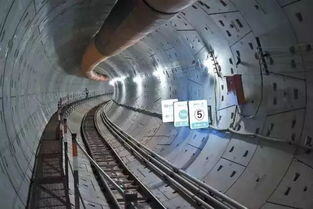 2023到2043年什么行业好做