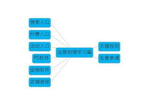 电商运营助理