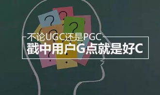 ugc营销模式