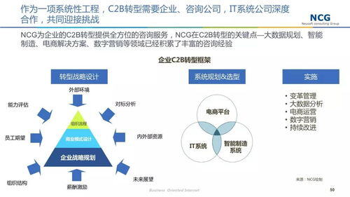 c2b模式的电商平台