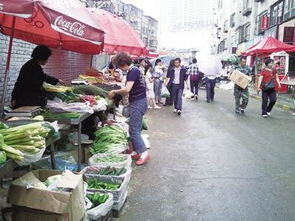 适合一年四季的地摊生意