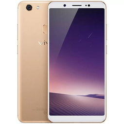 vivoy79手机多少钱
