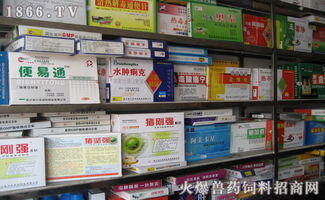 兽药业务员一个月能挣多少钱