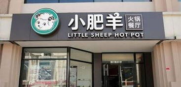 现在加盟店什么最火