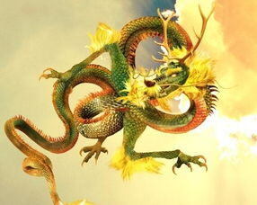 88年属龙做什么生意最旺