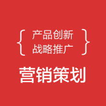 stp营销战略策划方案