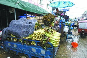 深圳农产品水果批发市场