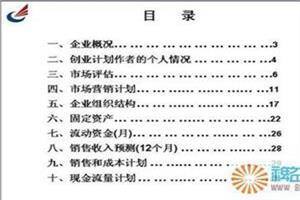 项目计划书内容