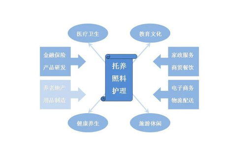 互联网+养老服务项目商业计划书