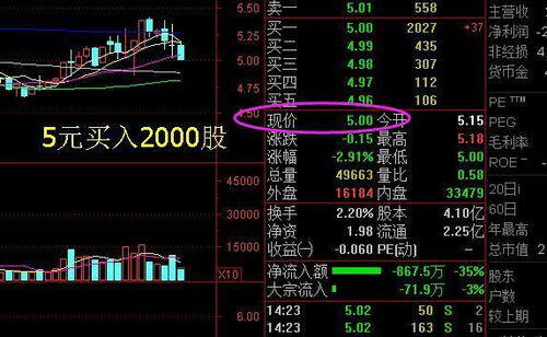 股票投100元能赚多少