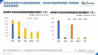 市场营销分析报告