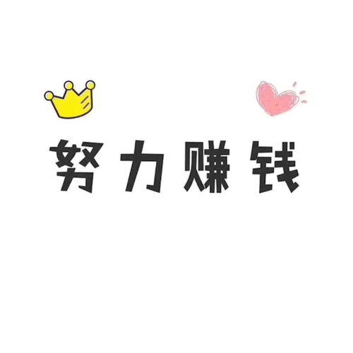 努力赚钱的