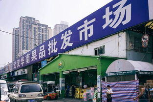 武汉农产品批发市场有哪些