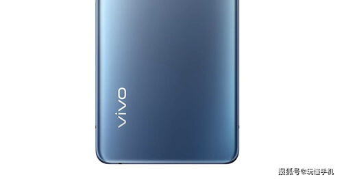 v2031a手机多少钱