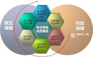 电子商务的分类