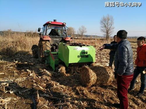现在农村做什么行业最赚钱