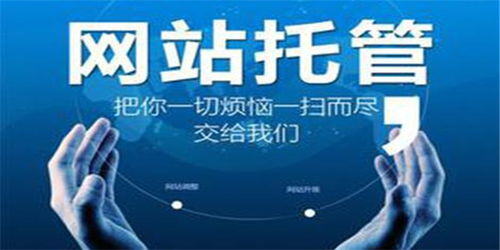 网络营销前景和现状分析