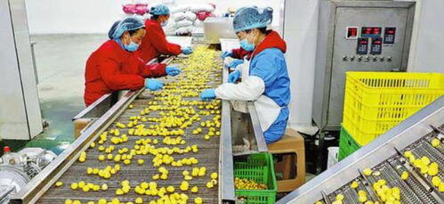 什么加工厂投资小好做