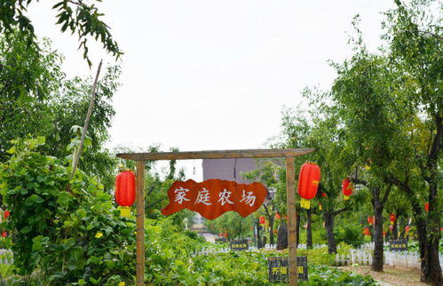 家庭养殖场起名大全